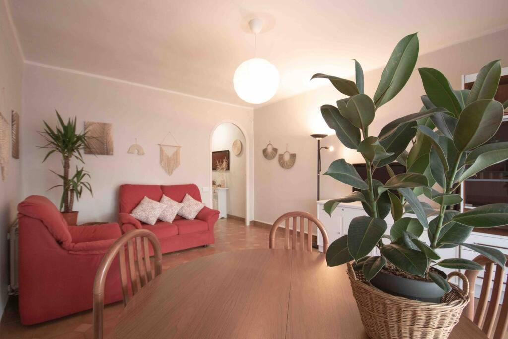 Lc Apartaments Av Del Mar كاستيون ذي لا بلاند المظهر الخارجي الصورة